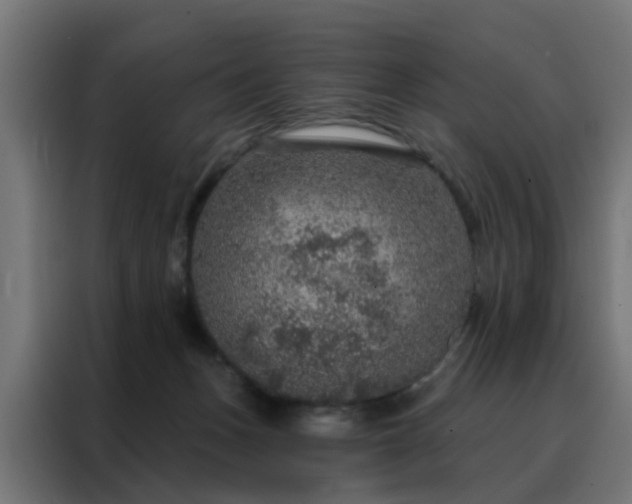 X0000088180175200705221649