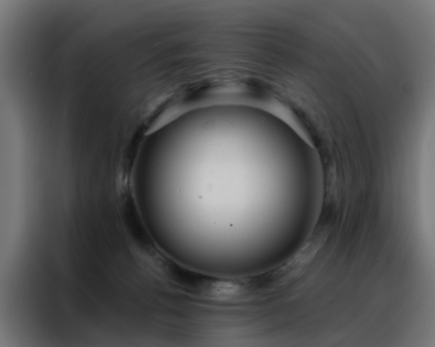 X0000088180176200705221649