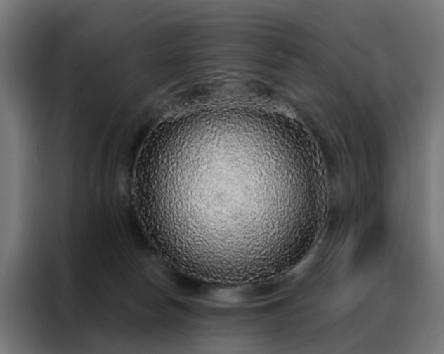 X0000088180178200705221649