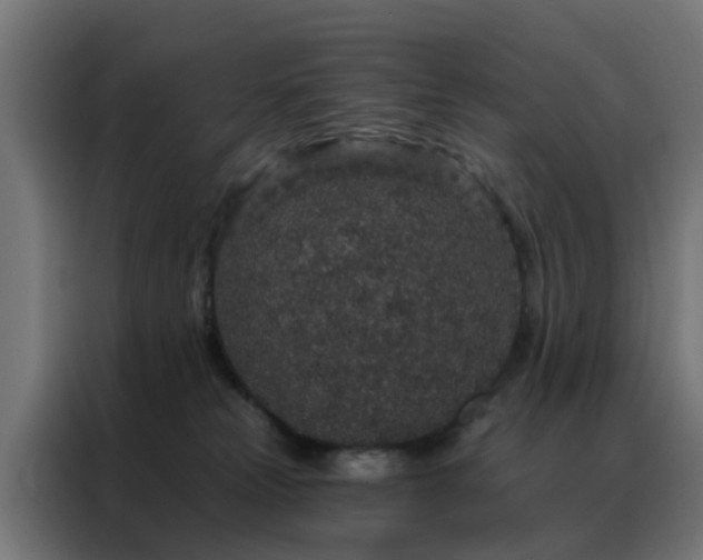 X0000088180181200705221649