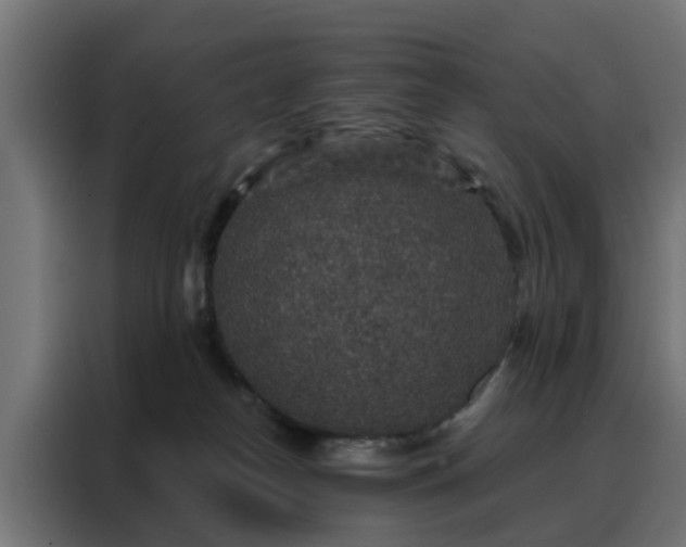 X0000088180182200705221649