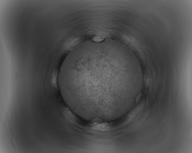 X0000088180185200705221649