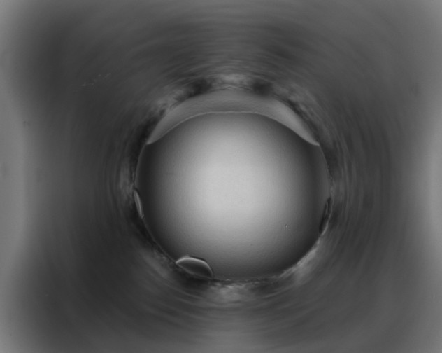X0000088180186200705221649