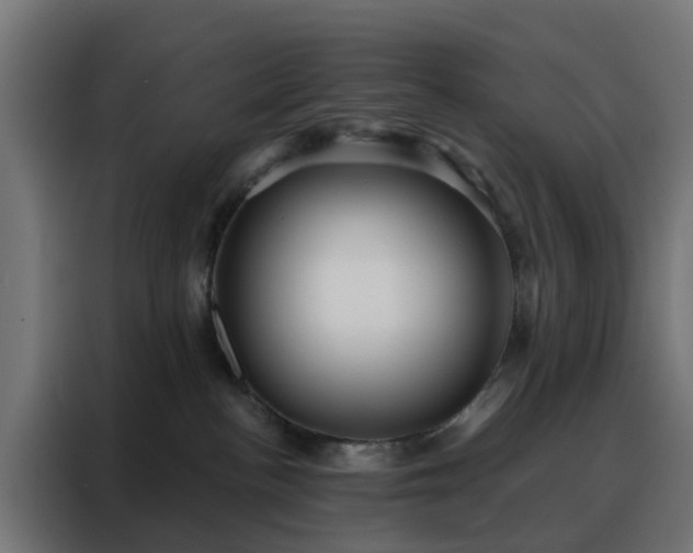 X0000088180188200705221650
