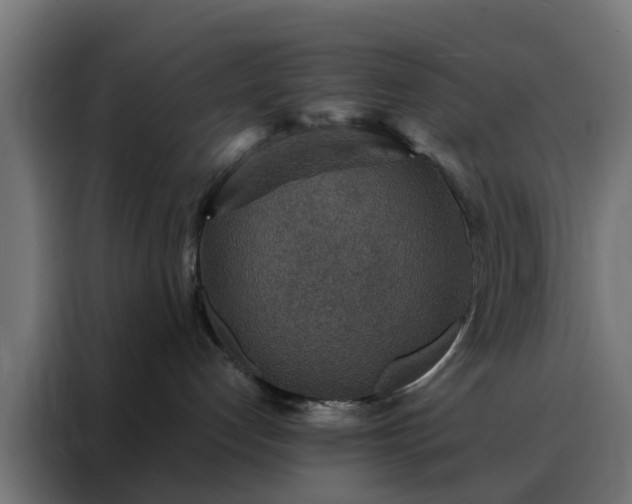 X0000088180192200705221650