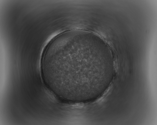 X0000088180196200705221649