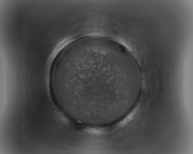 X0000088180199200705221649