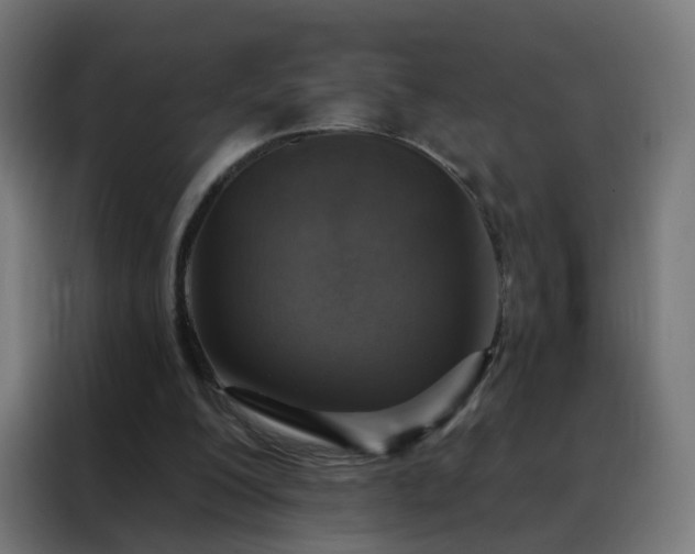 X0000088180200200705221649