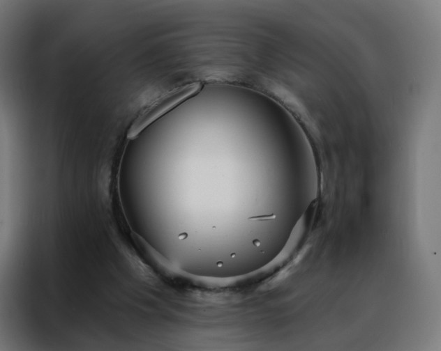 X0000088180201200705221649