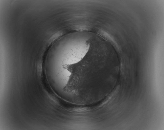 X0000088180202200705221649