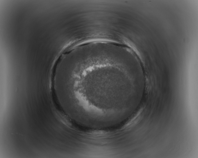 X0000088180203200705221649