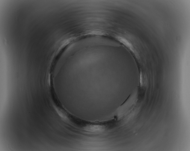 X0000088180205200705221649