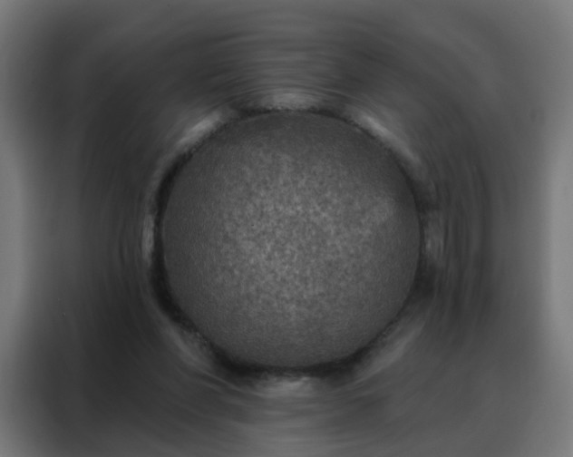 X0000088180206200705221649
