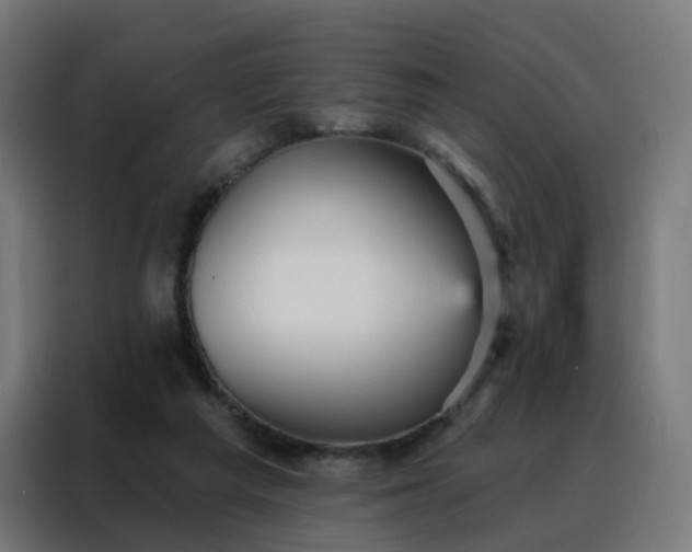 X0000088180209200705221649