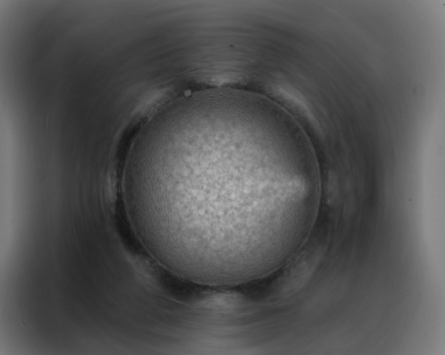X0000088180210200705221649