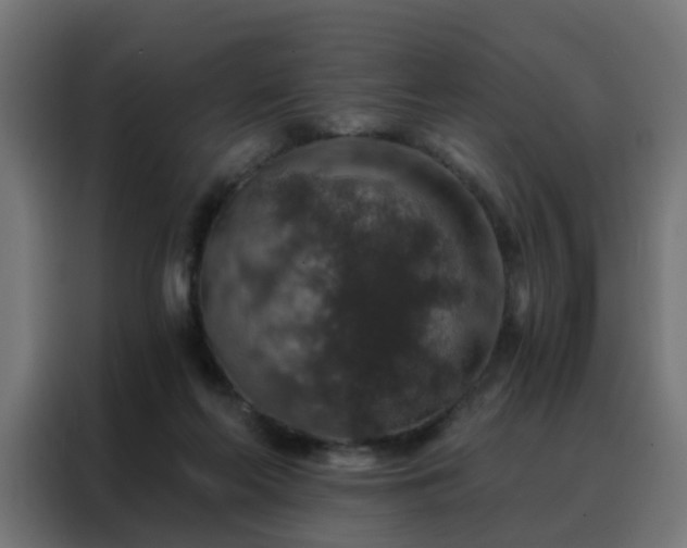 X0000088180214200705221649