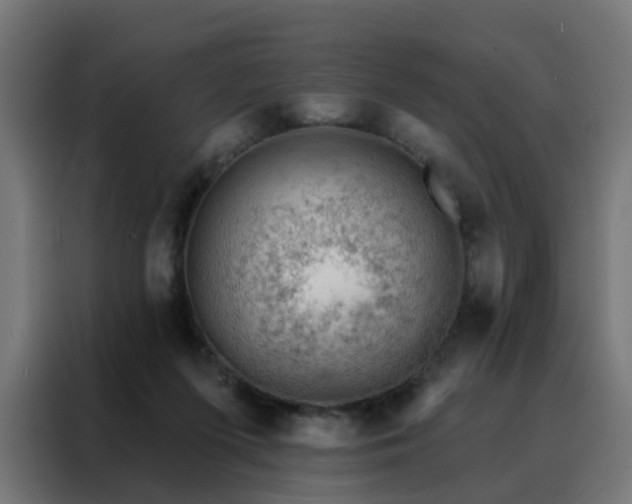 X0000088180215200705221649