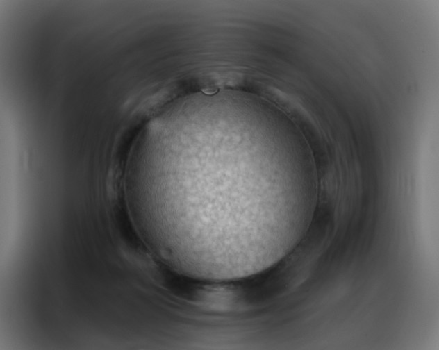 X0000088180218200705221649