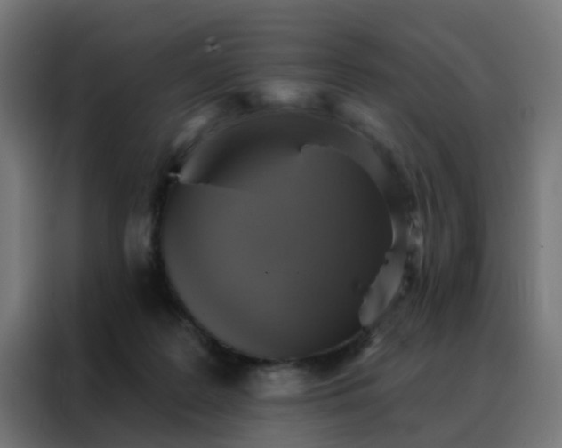 X0000088180219200705221649