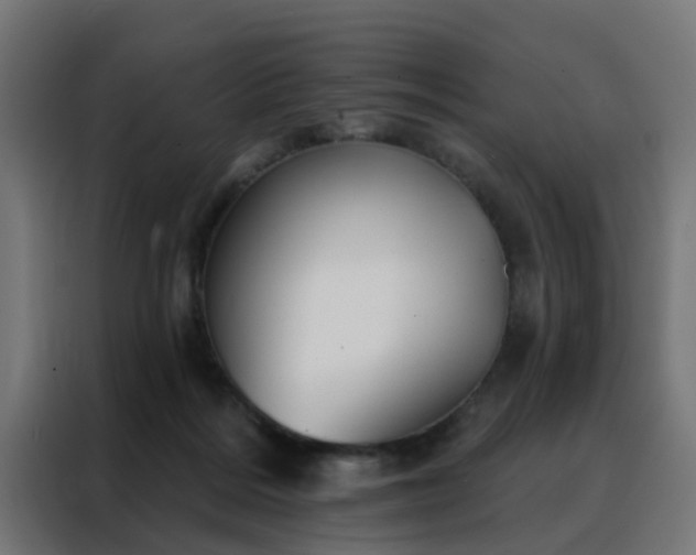 X0000088180220200705221649