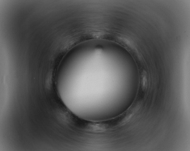 X0000088180221200705221649
