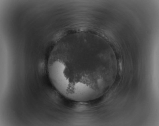 X0000088180222200705221649
