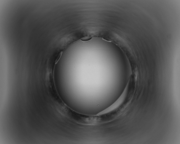X0000088180225200705221649