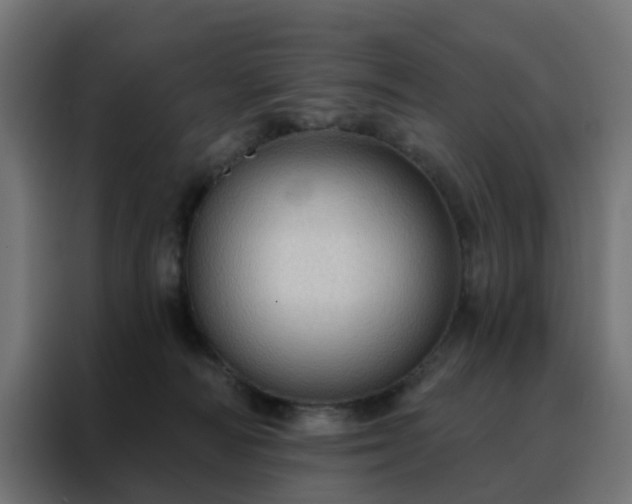X0000088180226200705221649