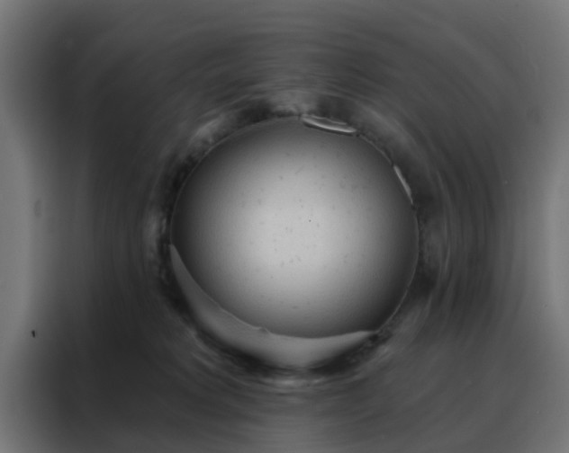 X0000088180229200705221648
