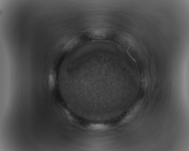 X0000088180231200705221648