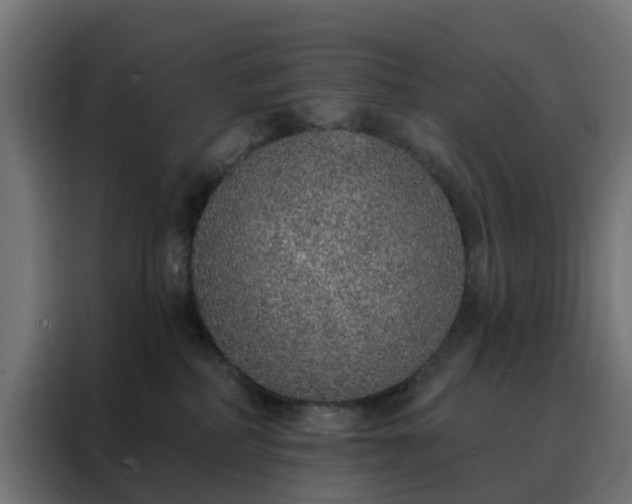 X0000088180234200705221648