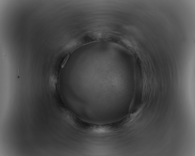 X0000088180235200705221648