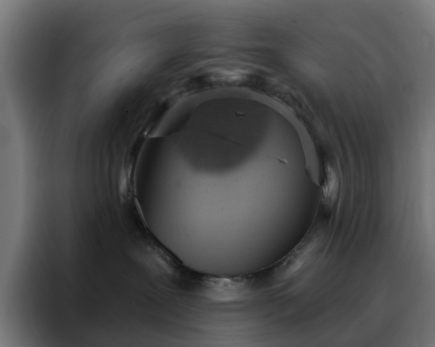 X0000088180239200705221648