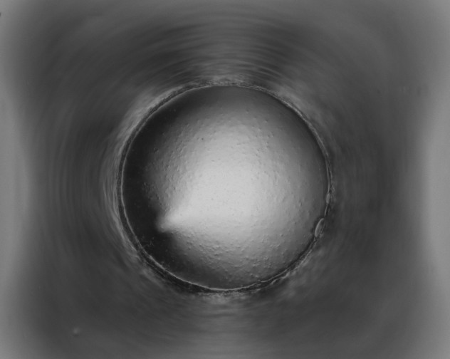 X0000088180241200705221648