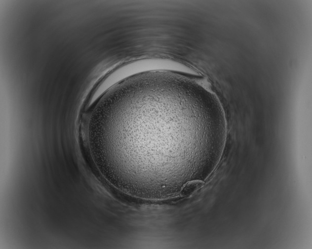 X0000088180242200705221648