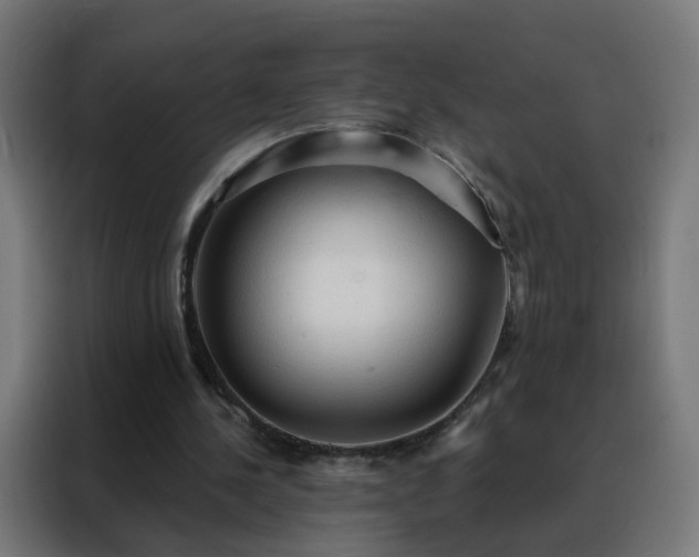 X0000088180244200705221648