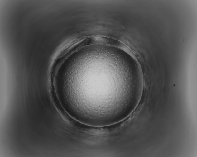 X0000088180245200705221648
