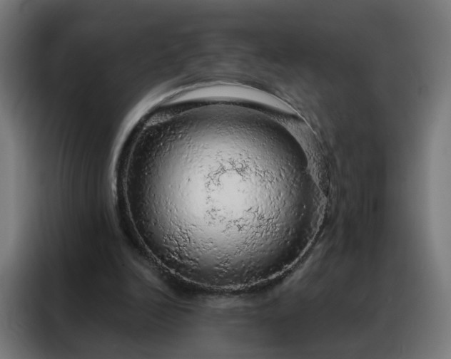 X0000088180246200705221648