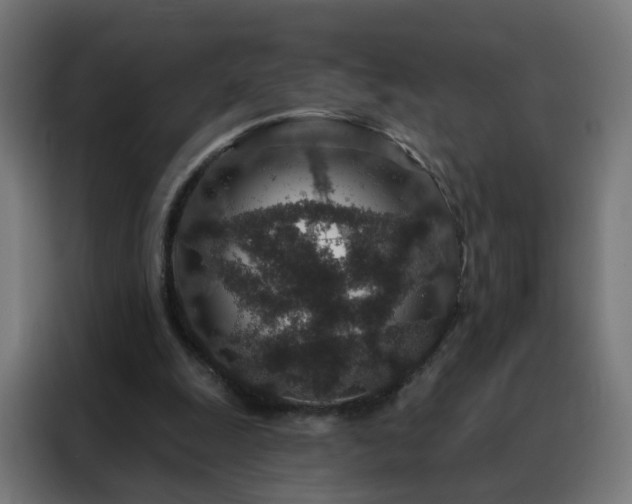 X0000088180247200705221648