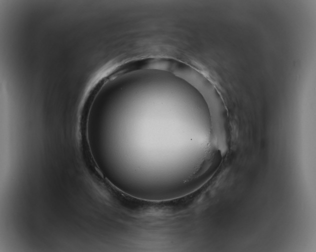 X0000088180248200705221648