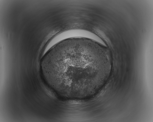 X0000088180250200705221648
