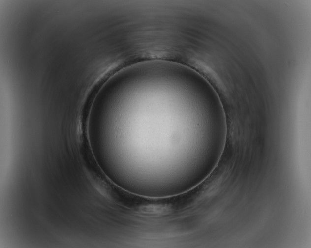 X0000088180251200705221648