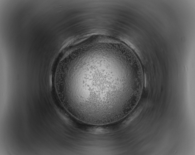 X0000088180253200705221648