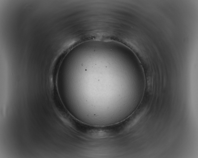 X0000088180254200705221648