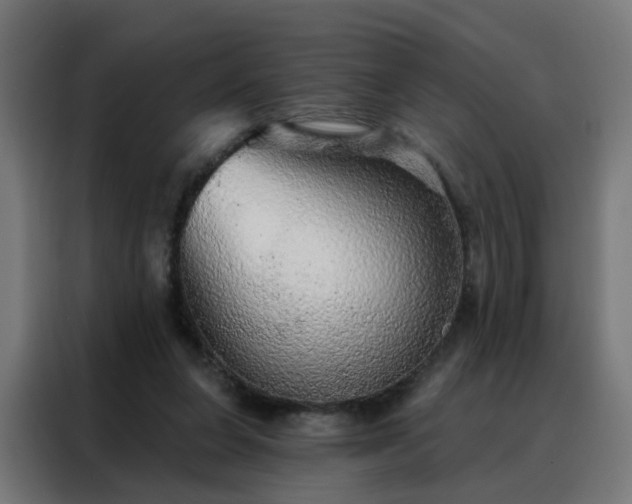 X0000088180255200705221648