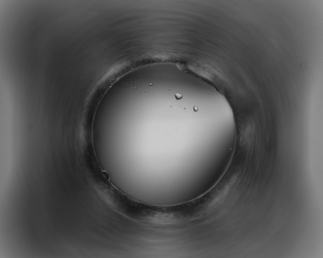 X0000088180256200705221648