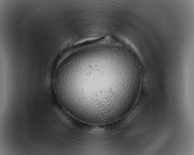 X0000088180257200705221648