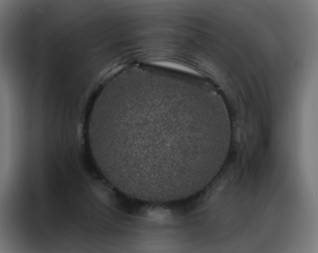 X0000088180258200705221648