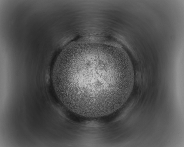 X0000088180259200705221648