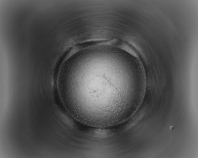 X0000088180261200705221648
